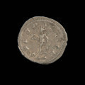 moneta; denar - Ujęcie rewersu. Moneta z wizerunkiem cesarza w wieńcu laurowym na awersie i kroczącą Nadzieją z kwiatem na rewersie.