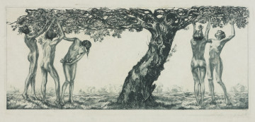 Ujęcie z przodu. Arkusz w układzie poziomym z odbitką monochromatyczną w tonie zielonym. Symboliczna scena przedstawia pięć nagich, młodych, smukłych kobiet w różnych pozach, rwących jabłka z niskopiennego, rozłożystego starego drzewa.