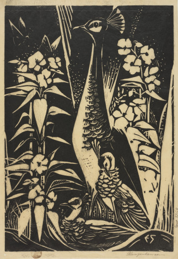 grafika: animalistyka - Ujęcie z przodu. Przedstawienie trzech pawi skrytych w gąszczu wysokich kwiatów na ciemnym tle.