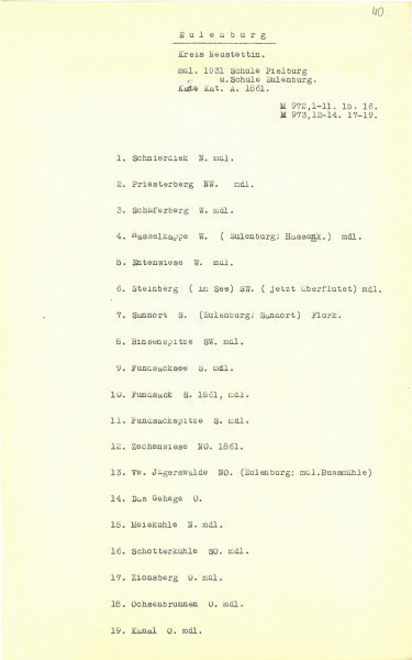 Flurnamen Sammlung - Powiat Szczecinecki - Ujęcie strony spisu maszynowego. Lekko pożółkła karta spisu maszynowego 19 pozycji z nazwami w języku niemieckim.