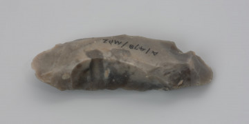 Ciosak odłupkowy - ujęcie z przodu; Ciosak odłupkowy z Unimia, pow. łobeski pochodzi z kolekcji przedmiotów odkrytych w 1931 roku na wydmach, na stanowisku z różnych okresów paleolitu i mezolitu. Narzędzie zostało wykonane z dużego odłupka z krzemienia kredowego bardzo wysokiej jakości. Z dużym prawdopodobieństwem można założyć, że był to tzw. odłupek predefiniowany, o kształcie ustalonym jeszcze przed odbiciem z rdzenia – bryły surowca przeznaczonej do pozyskiwania półsurowca, przetworzony następnie w zaplanowane wcześniej narzędzie. Proces produkcji ciosaka polega na redukowaniu strony spodniej i wierzchniej odłupka w taki sposób, aby uzyskać pożądany kształt.