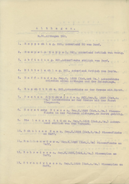 Flurnamen Sammlung - Powiat Wkryujski - Ujęcie jednej ze stron spisu maszynowego.  Lekko pożółkła kartka spisu maszynowego w kolorze fioletowym 13 pozycji z nazwami w języku niemieckim.