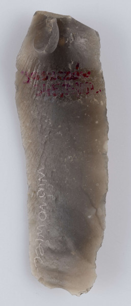 345/A/ML/12 - Makrolityczny wiórowiec z łukowatym wierzchołkiem, obie krawędzie boczne (jedna całkowicie druga w 3/4 długości)oraz wierzchołek łuskane po stronie wierzchniej płaskim retuszem przykrawędnym śęczek ścieniany.