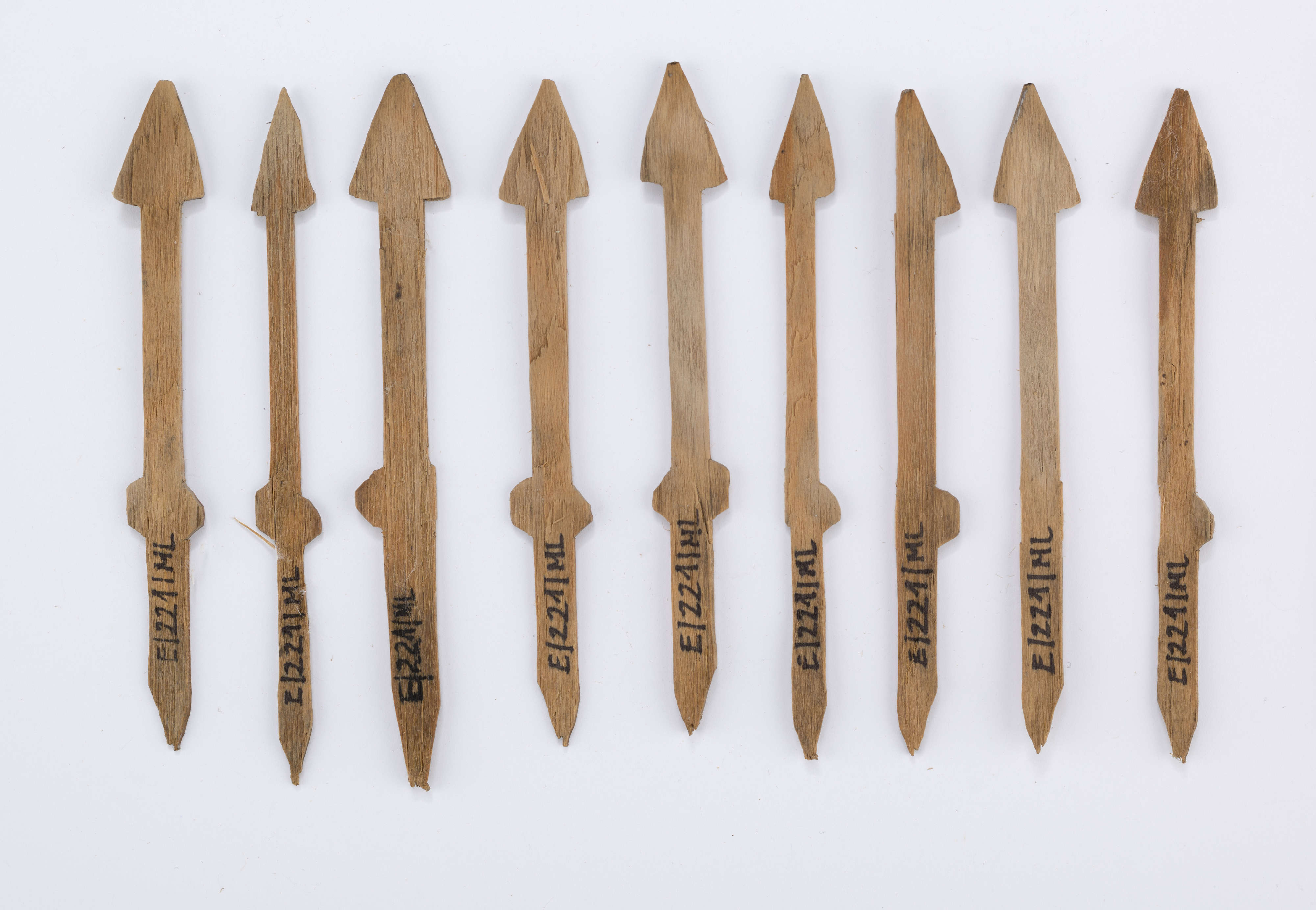 Horn paper knife  Museum of Design in Plastics