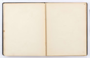 Brulion to prawie stukartkowy, elegancki zeszyt oprawiony w grubą tekturę obleczoną ozdobnie tłoczonym czarnym płótnem, karty gładkie, kremowobiałe, pokryte na brzegach pozłotą (lub farbą karminową), format: 20,5 x 16 cm. Teksty zapisane zielonym i czarnym, często wyblakłym atramentem oraz ołówkiem, na niektórych kartach tytuły wierszy podkreślone czerwoną kredką. Zabytek ten jest mocno sfatygowany: blok doklejony do okładki oraz przymocowanych dwoma paskami bezbarwrwnego płótna, pęknięty, niektóre karty oderwane od zszywek poszytowych (np. zszywki metalowe, w dużym stopniu zardzewiałe, które zniszczyły dodatkowo papier, zostały usunięte podczas konserwacji w muzeum). Całość sprawia wrażenie brulionu wielokrotnie kartkowanego - ślady palców. Karty ponumerowane są ołówkiem na górnym prawym marginesie, ta numeracja wykonana została przez pracowników muzeum , oraz na marginesie dolnym - ta pochodzi od Edwarda Kozłowicza. Między numerami z góry i z dołu zachodzi rozbieżność o 1 numer, jako że poprzedni depozytariusz zaczął numerację od pierwszej karty zapisanej przez Czechowicza; muzealnicy, którzy wpisywali numery na górnym prawym marginesie - zaczęli prawidłowo numerację od pierwszej przyokładkowej, niezapisanej karty zeszytu. Od Kozłowicza pochodzą zapewne dość liczne ołówkowe adnotacje na marginesach niektórych kart. Głównie odnoszą się one do różnic tekstowych pomiędzy brulionem a edycją niektórych wierszy zamieszczonych w tomiku poezji J. Czechowicza pt. 