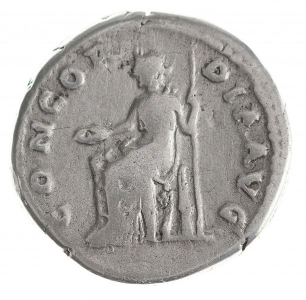 N/11370/ML - Av.: Popiersie cesarzowej w prawo. W otoku, od lewej: SABINA – AVGVSTA

Rv.: Concordia siedząca w lewo, trzymająca w prawej dłoni paterę, a w lewej berło. W otoku, od lewej: CONCOR – DIA AVG
