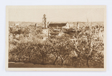 Pocztówka z ogólnym widokiem na Wilno, wykonana w sepii. Na pierwszym planie widoczne liczne drzewa, w oddali miejskie zabudowania.
