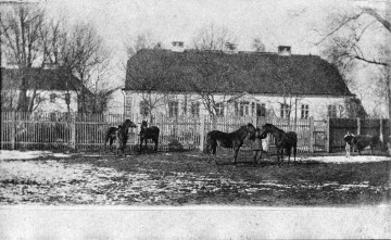 Fotografia czarno-iała przedstawia konie na tle budynków.