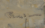 Panorama Odry z Hakenterrasse (obecnie Wały Chrobrego) - detal; ujęcie fragmentu obrazu prawego dolnego rogu. Widoczna sygnatura autora.