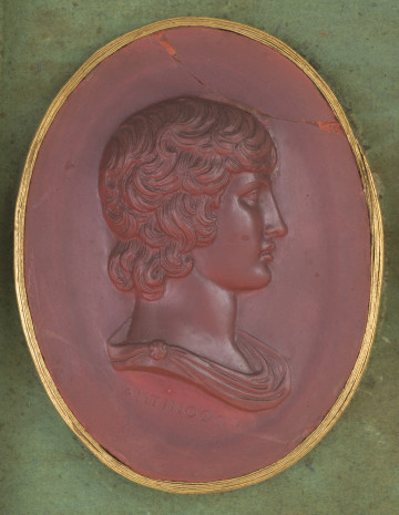 Czerwona owalna gemma ze złotym obramowaniem. Przedstawia prawy profil popiersia młodego mężczyzny z krótkimi, kręconymi włosami. Pod szyją widoczny fragment szaty spiętej klamrą. Poniżej widoczny napis 