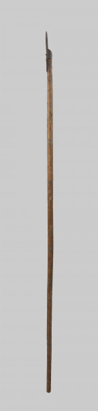 bosak rybacki - Ujęcie z boku; Bosak rybacki wykuty z płaskiego pasa metalu, którego jedną połowę po częściowym rozcięciu wzdłużnym pozostawiono po zwężeniu jako pionowy szpic, a drugą zagięto w dół w półokrąg i również zwężono w szpic. Koniec tego pasa przechodzi na dole w okrągłą obejmę do nasadzania na drzewce.