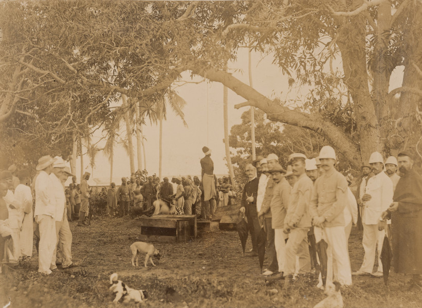 fotografia z albumu Aleksandra Dandelskiego; Egzekucja - ujęcie z przodu; Fotografia w układzie poziomym przedstawia miejscowego mężczyznę (prawdopodobnie partyzant lub niewolnik) straconego przez powieszenie. Mężczyzna wisi na linie, którą zawiązano na dużym, liściastym drzewie. Oczy zasłonięto mu białym materiałem, a ręce na wysokości łokci ciasno związano za plecami przez co klatka piersiowa wypycha się do przodu mocno uwidaczniając żebra oraz eksponując jego szczupłą sylwetkę. Jego stopy wiszą w powietrzu, około pół metra nad ziemią, z pewnością wcześniej opierały się o przewrócone skrzynie bądź pień. Bezpośrednio za straconym widać kilku mężczyzn i Askarysów (tubylczych żołnierzy niemieckich wojsk afrykańskich). Dwóch z nich uchwycono w ruchu. Wyglądają jakby kopali dół. Egzekucji przyglądają się kolonizatorzy, oficerowie, żołnierze Schutztruppe, Askarysi, kapelan oraz miejscowa ludność: kobiety, mężczyźni, dzieci. Europejczycy trzymają w dłoniach czarne parasole. Towarzyszą im dwa psy. W tle widać palmy oraz zabudowę.