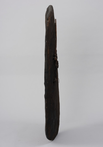 tarcza wojenna - Ujęcie z prawego boku; Duża, drewniana, owalna tarcza prawdopodobnie przyciemniana sadzą. Na powierzchni tarczy widoczne są ślady ciosania.