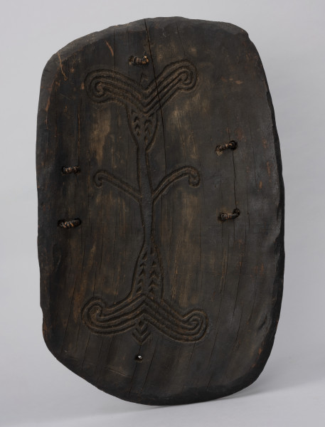 tarcza wojenna - Ujęcie z przodu; Duża, drewniana, owalna tarcza prawdopodobnie przyciemniana sadzą z wyrytym centralnie wzorem. Jej front został pokryty pokaźnym rysunkiem przedstawiającym dwa kielichy ułożone w symetrii osiowej połączone podwójną linią od której odchodzą zaokrąglone na końcach węższe podwójne linie. Kielichy składają się z kilku rzędów zaokrąglonych linii, a ich środek wypełniają nacięcia w kształcie pojedynczych zygzaków. Całość przypomina kielichowaty ukwiał. W tarczy wydrążono jedenaście otworów w symetrycznym układzie: cztery z lewej strony, cztery z prawej strony, dwa centralnie w górnej części oraz jeden centralnie w dolnej części. Przez dziesięć przewleczono sznur z włókna roślinnego (prawdopodobnie trzcinowego), jeden – dolny pozostawiono pusty. Na powierzchni tarczy widoczne są większe i mniejsze spękania drewna, ślady ciosania wykonane kamiennym lub metalowym narzędziem oraz niewielkie wgłębienia po uszkodzeniach bojowych (strzałach).