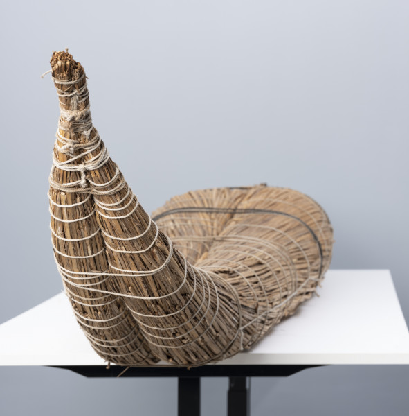 caballito de totora (łódź trzcinowa) - Ujęcie z lewej; Ponad czterometrowa łódź trzcinowa o naturalnym jasnobrązowym kolorze z wysoko zadartym ku górze długim, zwężającym się dziobem oraz grubą, płasko ściętą rufą. Kształtem przypomina gruby cios słonia. Została zbudowana z dwóch wiązek trzciny mocno skrępowanych przez poprzeczne wiązania. W ten sposób nadano łodzi pożądany, żeglowny kształt.