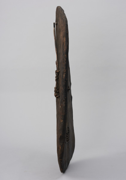 tarcza wojenna - Ujęcie z lewego boku; Duża, drewniana, owalna tarcza prawdopodobnie przyciemniana sadzą.Na powierzchni tarczy widoczne są ślady ciosania wykonane kamiennym lub metalowym narzędziem oraz niewielkie wgłębienia po uszkodzeniach bojowych (strzałach).