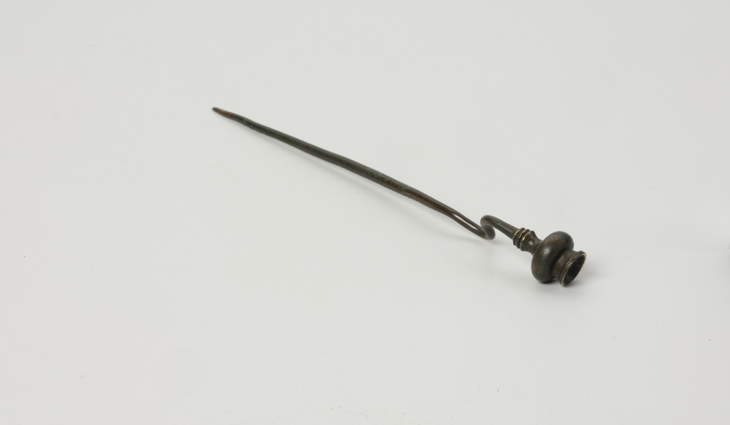 szpila z brązu ze Świchowa - Ujęcie z przodu; Szpila z brązu z wygiętą esowato  łabędzią szyjką. Zwieńczenie stanowi główka w formie miniaturowej wazy, której podstawę stanowią 3 dookolne zgrubienia w formie pierścieni. Powierzchnia zabytku jest w bardzo dobrym stanie, pokrywa ją ciemnozielona patyna.