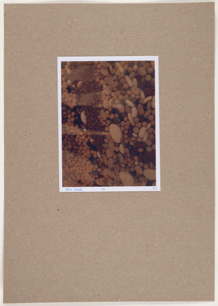 fotografia - Barwna odbitka fotograficzna utrzymana w stonowanych kolorach, która przedstawia wycinek większej kompozycji. Widoczny jest duży zbiór okrągłych i obłych elementów przypominających kamyki w różnych odcieniach brązu, beżu i szarości.  Zdjęcie jest pionowe, jednak ułożenie elementów sugeruje kompozycję poziomą. Odbitka fotograficzna została wykonana z wąską, białą ramką.