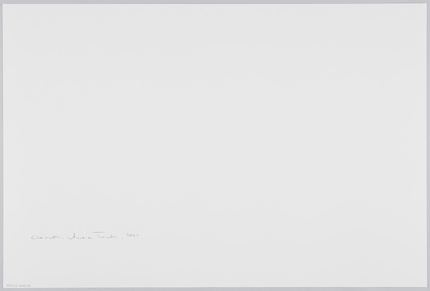 scena rodzajowa - Poziomy, barwny kadr fotograficzny przedstawiający popiersiowy portret fotograficzny dojrzałej kobiety w ubranej w czarną bluzkę, czarną czapkę i srebrny naszyjnik stojącej przed białą, koronkową zasłoną i patrzącą z zamyśleniem przed siebie.