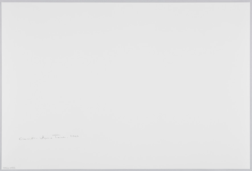 scena rodzajowa - Poziomy, barwny kadr fotograficzny przedstawiający scenę we wnętrzu. Na tle ściany ozdobionej jasna, dekoracyjną kotarą i girlandami jasnych, sztucznych kwiatów stoi grupa kobiet i dziewcząt oraz dwóch chłopców. Wszyscy są ubrani z odświętne stroje, chłopcy mają charakterystyczne fryzury – krótkie włosy i długie, spiralne pasma opadające na uszy (pejsy). Wszyscy patrzą w jednym kierunku, przed siebie, część z dziewcząt trzyma aparaty fotograficzne w geście fotografowania.