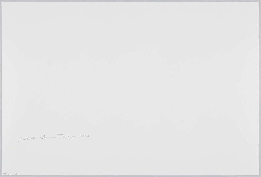 scena rodzajowa - Poziomy, barwny kadr fotograficzny przedstawiający pozowaną scenę ślubną. Na tle jasnej kotary ozdobionej girlandami jasnych, sztucznych kwiatów, białych lamp stoi grupa uśmiechniętych kobiet i dziewczynek w dwóch rzędach. W wyższym rzędzie po środku znajduje się panna młoda w białej sukni i z białym welonem po jej lewej i prawej stronie stoi 7 młodych kobiet w ciemnych sukienkach i z rozpuszczonymi ciemnymi, długimi włosami (3 po lewej i 4 po prawej) które są zwrócone w jej stronę. Poniżej stoi 5 dziewczynek w identycznych, odświętnych sukienkach o czarnej górze i tiulowej czarno-białej spódnicy. Zarówno kobiety, jak i dziewczynki maja podniesione ręce w geście prezentacji panny młodej.