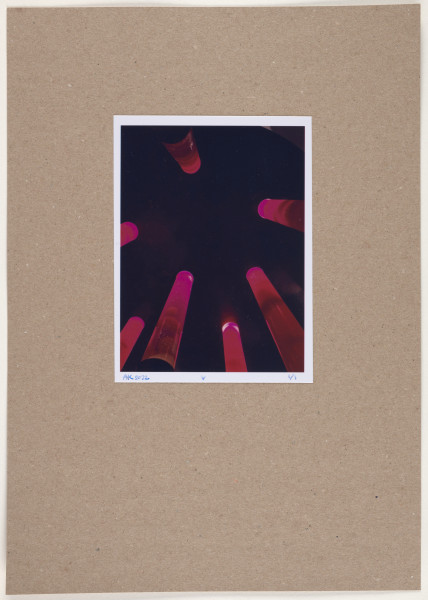 fotografia - Barwna odbitka fotograficzna przedstawiająca siedem długich, walcowanych kształtów ustawionych w okręgu, przedstawionych w skrócie perspektywicznym (z tzw. żabiej perspektywy). Ich nasycone barwy przechodzące od czerwieni do różu o amarantowym odcieniu kontrastują z bardzo ciemnym tłem. Odbitka fotograficzna została wykonana z wąską, białą ramką.