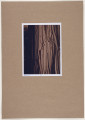 fotografia - Barwna odbitka fotograficzna w stonowanych kolorach przedstawiająca brzegi poskładanych tkanin ułożonych ciasno jedna obok drugiej - kadr jest pionowy. Brak widocznych zakończeń tkanin wskazuje, że jest to kadr większej całości. Fotografia utrzymana jest w tonacji brązowo-beżowej z zastosowanym gradientem kolorystycznym -  część środkowa jest jasna, rozświetlona, przechodzi stopniowo po lewej stronie do tonacji bardzo ciemnego brązu  - ostatnia widoczna płaszczyzna jest jest bardzo ciemna i ma inną fakturę (fakturę drewna). Od centrum kompozycji w stronę prawą  kolorystyka zmienia się mniej radykalnie - od jasnego brązu do brązu. W niektórych miejscach widoczne jest zawinięcie lub miejsca złożenia którejś z tkanin, w kilku - widoczna jest mereżka na złożeniu. Odbitka fotograficzna została wykonana z wąską, białą ramką.
