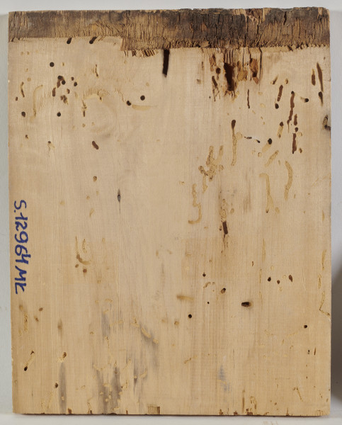 Frontalny wizerunek Chrystusa Pantokratora w popiersiu, błogosławiącego prawicą, w lewicy trzymającego otwartą Księgę Ewangelii  z cyrylickim cytatem